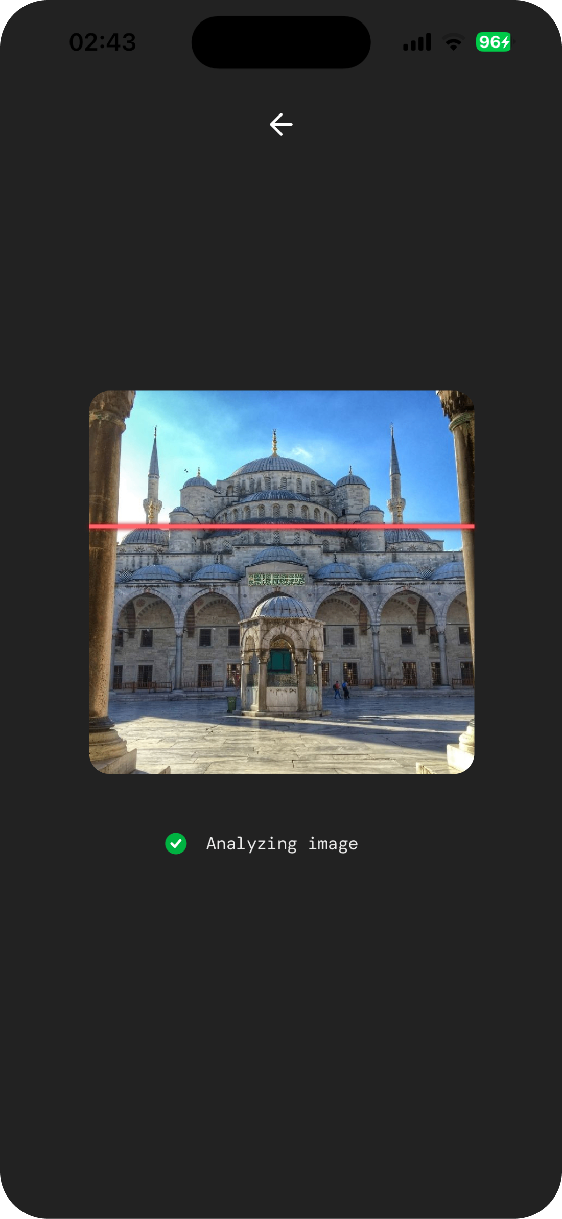 Hangi Cami — Camera identification screen